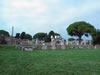 Rome: Image