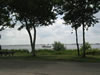 Friesland: Image