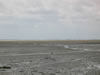 Schiermonnikoog: Image