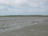 Schiermonnikoog: Image