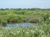 Schiermonnikoog: Image