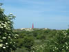 Schiermonnikoog: Image