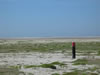 Schiermonnikoog: Image